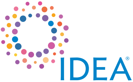 IDEA19