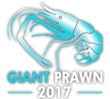 GIANT PRAWN 2017