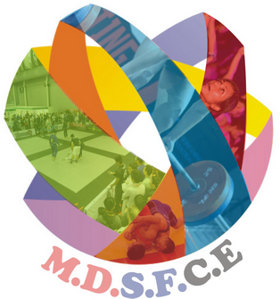 MDSFCE 2016