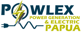Power Generation & Electric Papua 2017