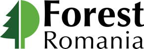 Forest Romania 2022