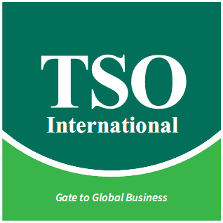 TSO International Inc. logo