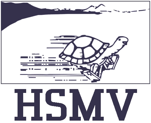 HSMV 2017
