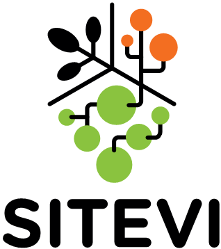 SITEVI 2025