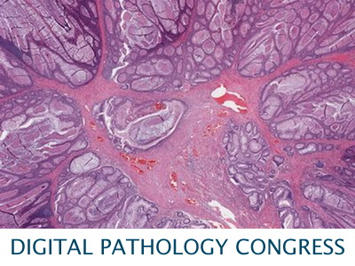 Digital Pathology & Al Congress: USA 2018