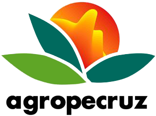 Agropecruz 2018