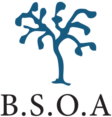 BSOA Annual Scientific Meeting 2022