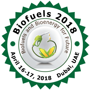 Biofuels and Bioenergy 2018