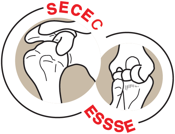 SECEC ESSSE - European Society for Surgery of the Shoulder and Elbow logo