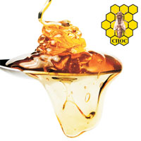 Governmental Beekeeping Fair 2020