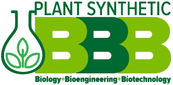 Plant Synthetic 2018