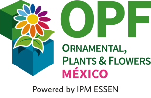 Ornamental Plants & Flowers MEXICO 2024