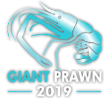 GIANT PRAWN 2019