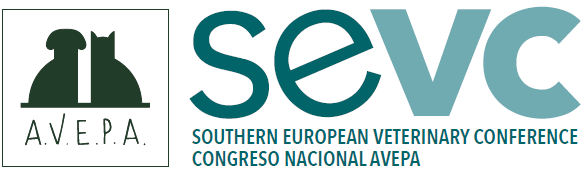 SEVC 2019