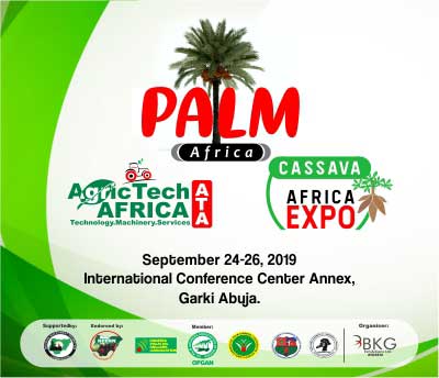 PALM AFRICA 2019