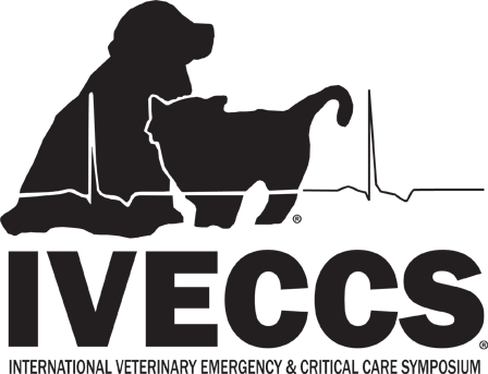 IVECCS 2019