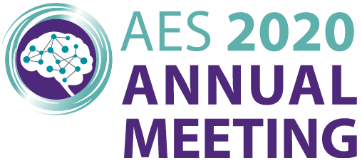 American Epilepsy Society Annual Meeting 2020