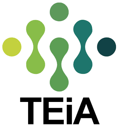 TEiA 2021