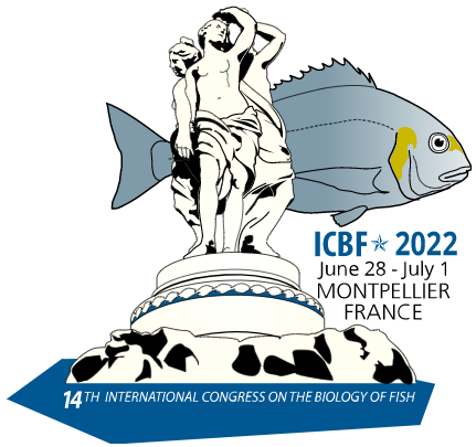 ICBF 2022