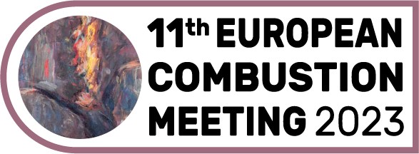 European Combustion Meeting 2023