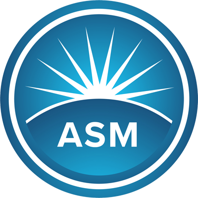 ASME SSDM 2025