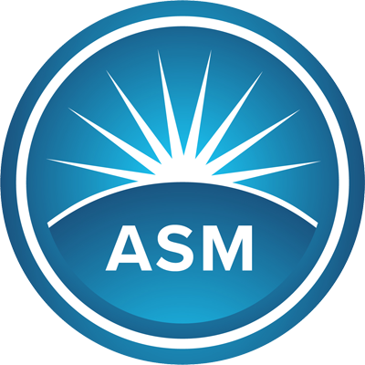 ASME SSDM 2024