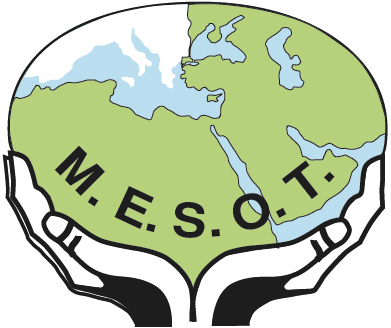 MESOT 2025