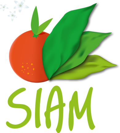 SIAM 2025