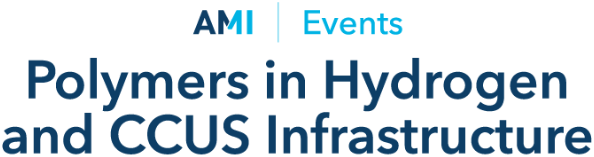 Polymers in Hydrogen and CCUS Infrastructure - 2023