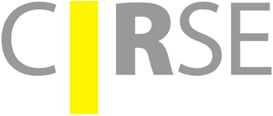 Cardiovascular and Interventional Radiological Society of Europe (CIRSE) logo