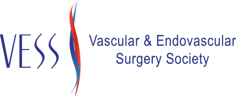 Vascular & Endovascular Surgery Society logo