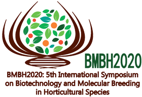 BMBH 2024