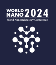 World Nano 2024