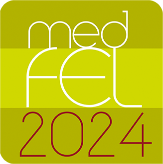 medFEL 2024