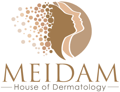 MEIDAM 2025
