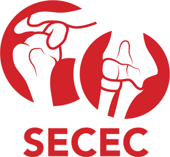 SECEC ESSSE - European Society for Surgery of the Shoulder and Elbow logo