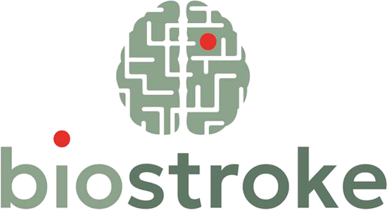 BIOSTROKE Meeting 2026