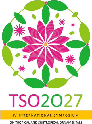 TSO 2027