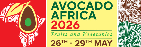 Avocado Fruits & Vegetables Africa 2026
