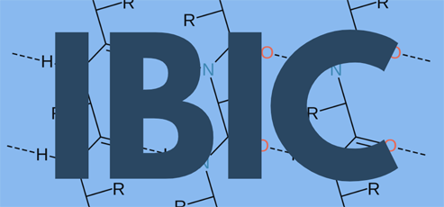 IBIC 2026
