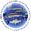 Fish Passage 2025