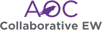 AOC Collaborative EW Symposium 2025