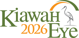 Kiawah Eye 2027 Meeting