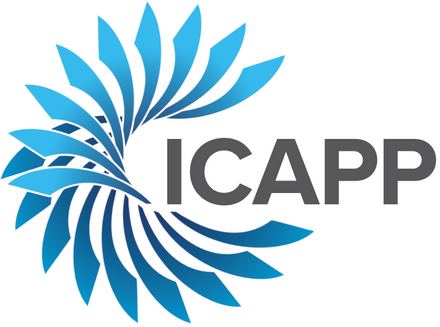 ICAPP 2025
