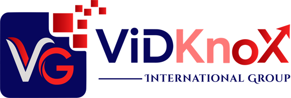 VidKnox Group logo