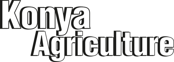 Konya Agriculture Fair 2028